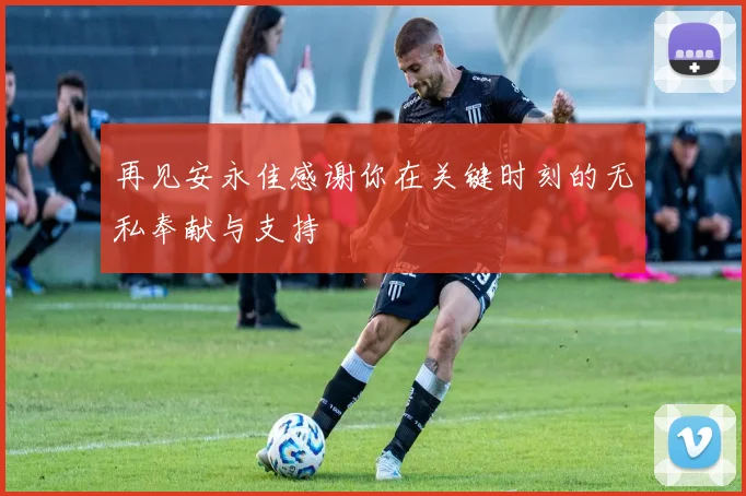 再见安永佳感谢你在关键时刻的无私奉献与支持