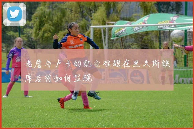 老詹与卢卡的配合难题在里夫斯缺席后将如何显现